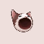 POPCAT-USDC