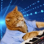 KEYCAT-USD
