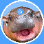 HIPPO-USDT