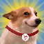 SUNDOG-KRW