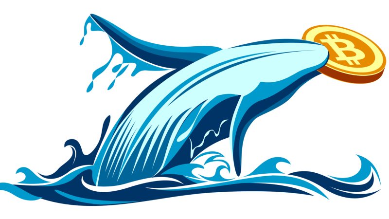 bitcoin-whale