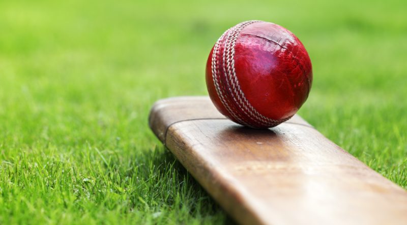 cricket