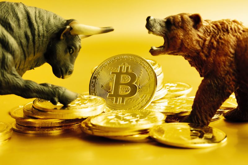 bitcoin-bull-and-bear
